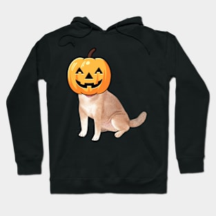 labrador retriever is a Jack-o-Lantern Hoodie